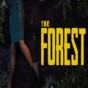 the forest聯(lián)機存檔后自己能玩嗎