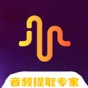 ins音頻提取官方版app