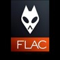 flac播放器下載