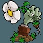 站南瓜醬pvz二戰(zhàn)版尸特勒最新版