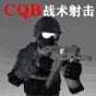 cqb戰(zhàn)術(shù)步槍