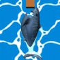 鯊魚吞咽游戲教案